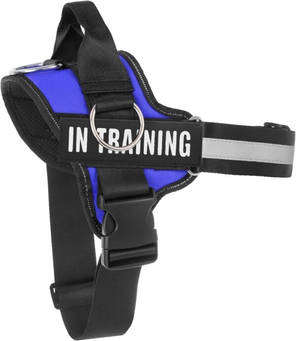 Essential Dog Harness, No Pull Pet Harness with 3 Side Rings for Leash Placement, No Choke, Reflective, Adjustable Pet Vest, Easy On-Off & Improved Control Handle, Training, Walking, Running Blue