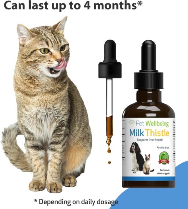 Pet Wellbeing Milk Thistle for Cats - Supports Liver Health, Protects Liver - Glycerin-Based Natural Herbal Supplement - 2 oz (59 ml) - Image 7