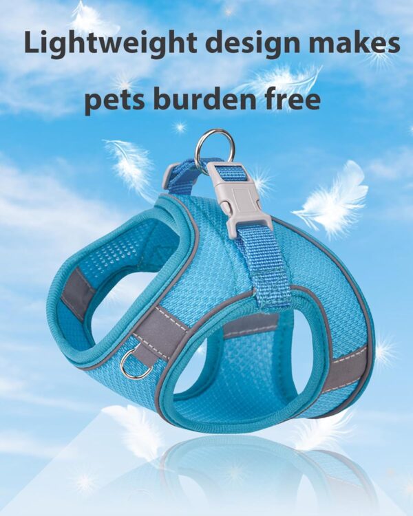 Dog Harness for Small Medium Sized Dog, Puppy Harness and Leash Set Training, Dog Harness and Leash Set, Dog Vest Harness, Dog Harness Small Sized Dog, Small Dog Harness. (Blue, XXS) - Image 3