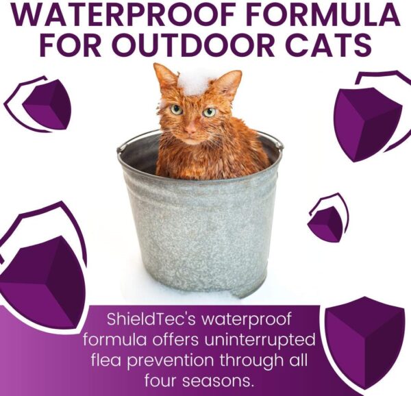 Flea and Tick Prevention for Cats, Kills Chewing Lice, Cat Flea Treatment (6 Dose) - Image 2