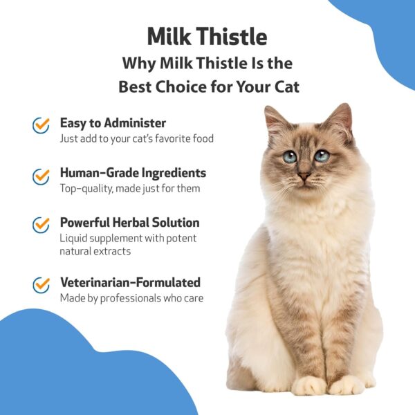 Pet Wellbeing Milk Thistle for Cats - Supports Liver Health, Protects Liver - Glycerin-Based Natural Herbal Supplement - 2 oz (59 ml) - Image 4