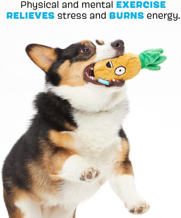 Barkbox 2 in 1 Interactive Plush Dog Toy - Rip and Reveal Dog Toy for Small Dogs - Stimulating Squeaky Pet Enrichment and Puppy Toys | Penny The Pineapple| Small Dogs - Image 3