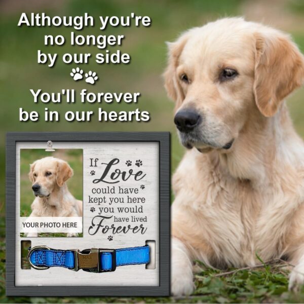 Pawfect House Dog Memorial Gifts for Loss of Dog, Pet Memorial Gifts, Pet Loss Sign, Pet Memorial Collar Frame, Dog Bereavement Gifts, Dog Frames for Pictures Memorial - Image 3