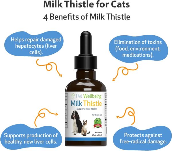 Pet Wellbeing Milk Thistle for Cats - Supports Liver Health, Protects Liver - Glycerin-Based Natural Herbal Supplement - 2 oz (59 ml) - Image 3