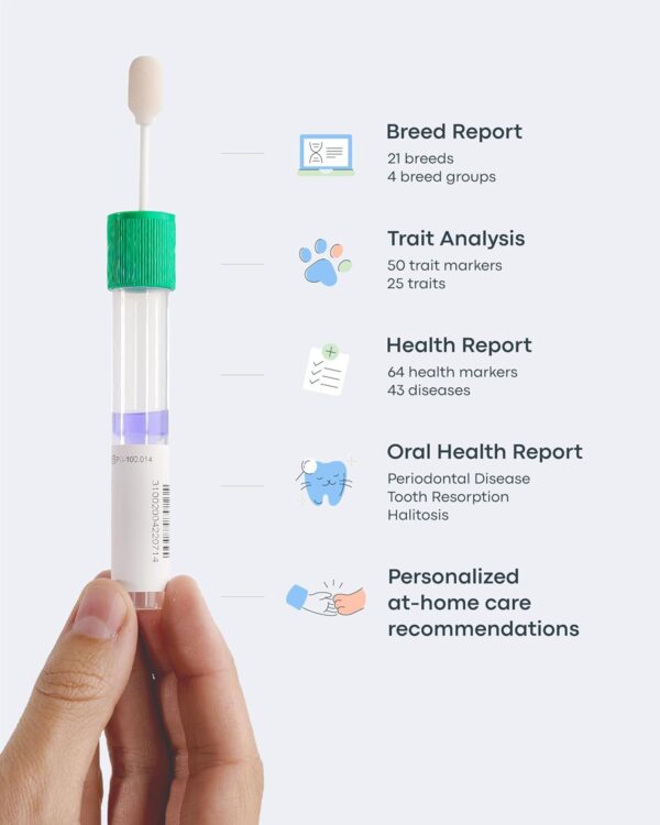 Basepaws Cat DNA Test Kit - Comprehensive Breed, Health and Dental Analysis Across 114 Traits for Accurate and Easy-to-Use Genetic Insights - Image 4