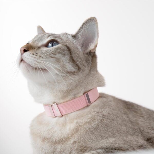 Safety Cat Collar - U.S. IDA Gold Awarding Design, Elastic Quick Release, Non Breakaway - Lightweight for Kitten, Neck Fit 5.9'-11.8' for All Small Large Cat,S(Linen) - Image 6