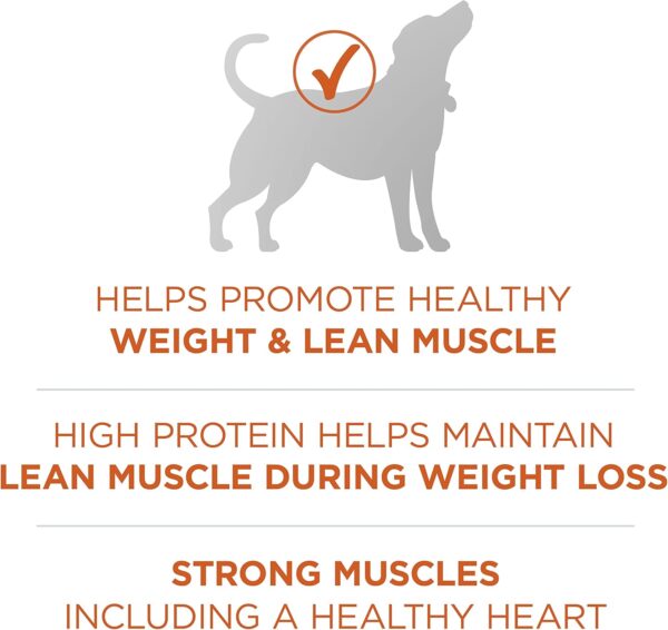 Purina ONE Plus Healthy Weight High-Protein Dog Food Dry Formula - 40 lb. Bag - Image 5