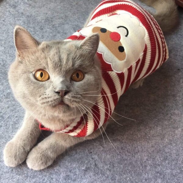 Cat Sweater Christmas Santa Claus Pet Cat Winter Knitwear Warm Clothes X-Small - Image 3