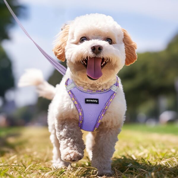 Dog Harness for Small and Medium Size Dogs, Soft Mesh Step in Vest Harness, No Pull and No Choke Puppy Harness for Training Walking, (Purple XS) - Image 6