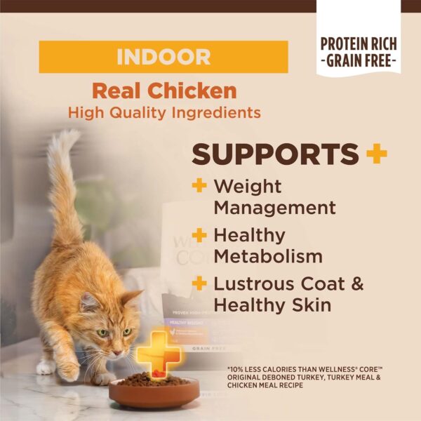 Wellness CORE+ Grain-Free High Protein Adult Dry Cat Food, Chicken, Turkey & Chicken Meal Indoor Formula Dry Cat Food, 11 Pound Bag - Image 2