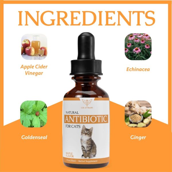 Natural Antibiotics for Cats - Cat Antibiotics - Cat Antibiotic - Pet Antibiotics - Cat Immune Support - Antibiotic for Cats - Cat Multivitamin - Cat UTI Antibiotics - (2 Pack) - Image 7