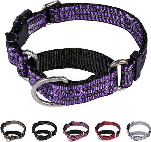 Martingale Dog Collars Reflective Nylon Dog Collar with Quick Release Buckle Adjustable Training No Slip Dog Collar (Medium, Purple)