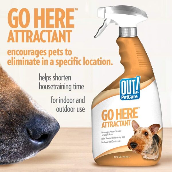 OUT! PetCare Go Here Attractant Indoor and Outdoor Dog Training Spray - House-Training Aid for Puppies and Dogs - 32 oz - Image 2