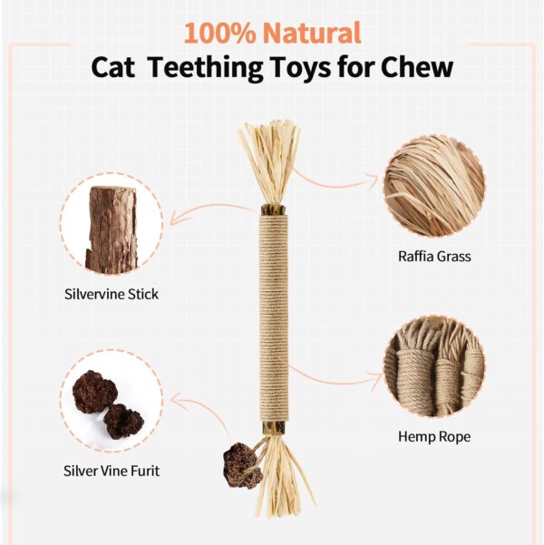 Catnip Toys with Silvervine for Cats, Cat Chew Toy for Kitten Teething, Interactive Cat Toy for Indoor Cats, Natural & Safe Cat Toys - Image 2