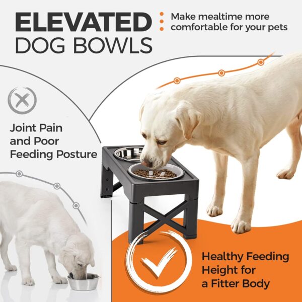 Elevated Dog Bowls with Slow Feeder, 4 Adjustable Heights Raised Dog Bowl Stand with Two 1.3L Stainless Steel Food & Water Bowls, Adjusts to 2.8”, 8.6”, 10.2”, 11.8” for Large Medium, Small Dog & Cats - Image 3