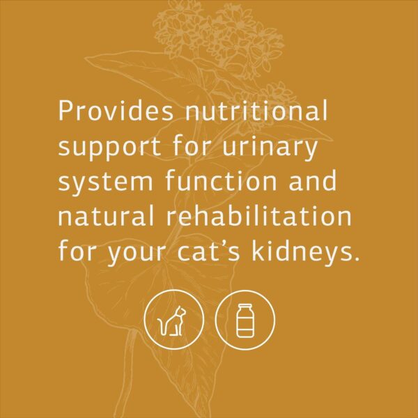 Standard Process - Feline Renal Support - Kidney and Urinary Health for Cats - 90 Tablets - Image 3