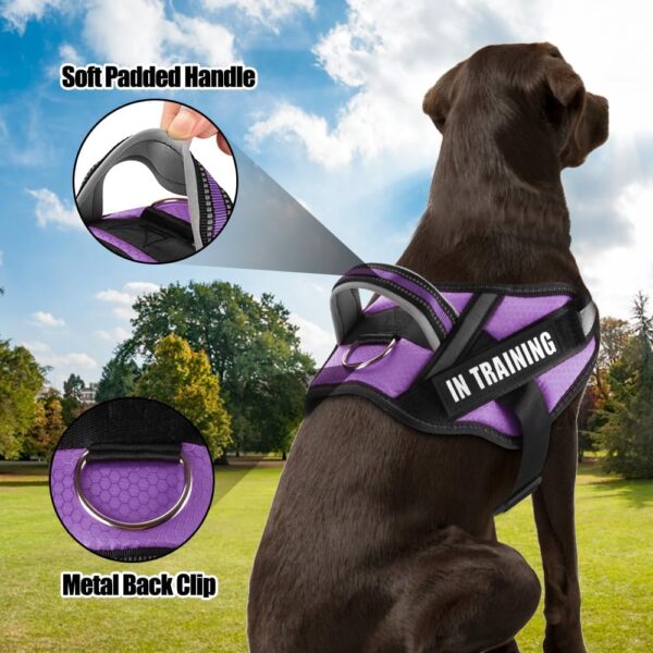 Service Dog Harness and Leash Set, XS, Purple, with 10 Patches, Reflective, for Small Dogs - Image 4