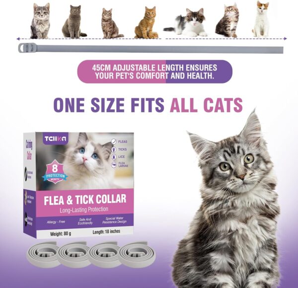 Flea Collar for Cats 4 Pack Cat Flea Collar 8 Months Long-Term Protection Natural Cat Flea and Tick Collar Waterproof Kitten Flea Collar Suitable for all Cats Flea and Tick Collar for Cats Flea Collar - Image 5