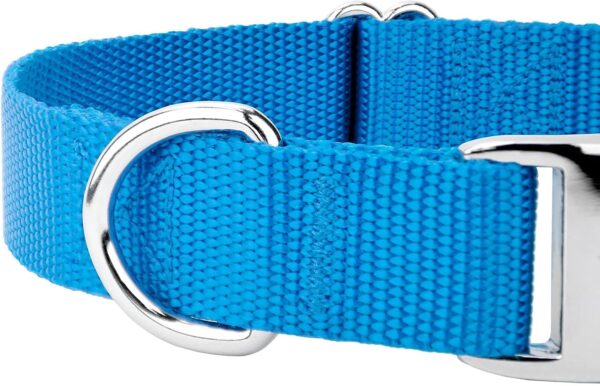 Country Brook Petz Premium Nylon Dog Collar with Metal Buckle for Small Medium Large Breeds - Vibrant 30+ Color Selection (Large, 1 Inch, Ice Blue) - Image 9