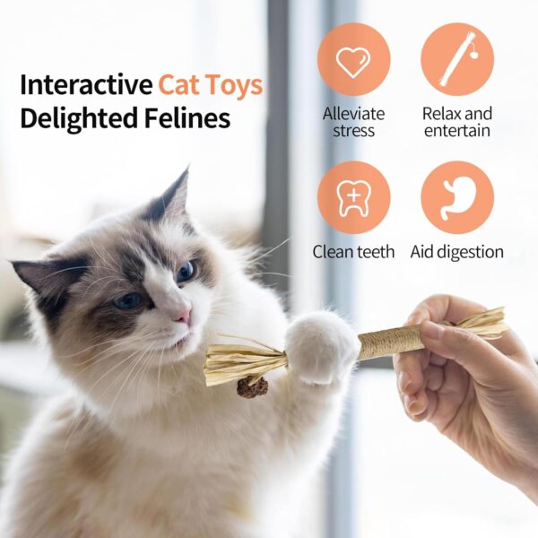 Catnip Toys with Silvervine for Cats, Cat Chew Toy for Kitten Teething, Interactive Cat Toy for Indoor Cats, Natural & Safe Cat Toys - Image 5