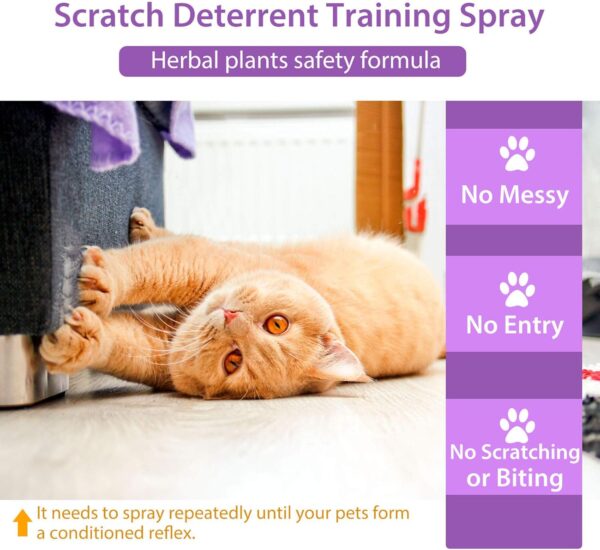 Cat Deterrent Spray, 120ML Cat Repellent Spray, Natural Cat Deterrent Indoor & Outdoor for Pet Behavior Training, Prevent Cats Scratching Furniture & Plants, Suitable for Cats & Dogs - Image 5