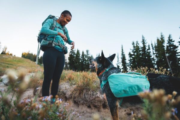 Ruffwear, Front Range Dog Collar, Durable and Comfortable Collar for Everyday Use, Blue Pool, 14"-20" - Image 7