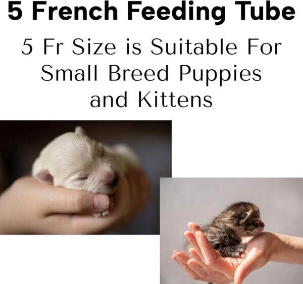 Tube Feeding Kit for Puppies Kittens Includes Kendall Puppy Feeding Tube 5 French and 12 Ml Syringe for Fading Puppy Support Whelping Kit or Baby Kitten Supplies (5 FR) - Image 2