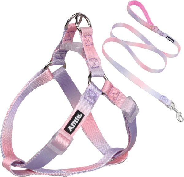 AIITLE Step-in Dog Harness and Leash Set - No Pull Pet Adjustable Halter Harness with A 5FT Leash - Double D ring,Easy Fit - Easy Walk Running Training for Large Breed Dogs,Pink-Purple Gradient L