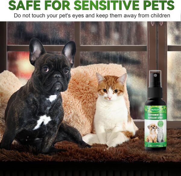 Flea and Mite Home Spray for Cats and Dogs, Essential flea and mite treatment, protects your home from fleas and eliminates pet odours, botanical formula, for indoor and outdoor use (2oz) - Image 5