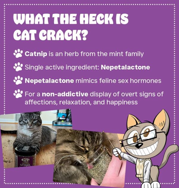 Cat Crack Catnip, Zoomie-Inducing Cat Nip Blend, North American Made & 100% Natural, Safe & Non-Addictive Catnip Treats Used to Supplement Catnip Toys, Catnip Spray, & Cat Accessories (1 Cup) - Image 2