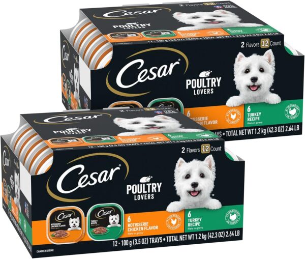 CESAR Filets in Gravy Adult Wet Dog Food, Poultry Lovers Variety Pack, 3.5 oz. Easy Peel Trays, Pack of 24