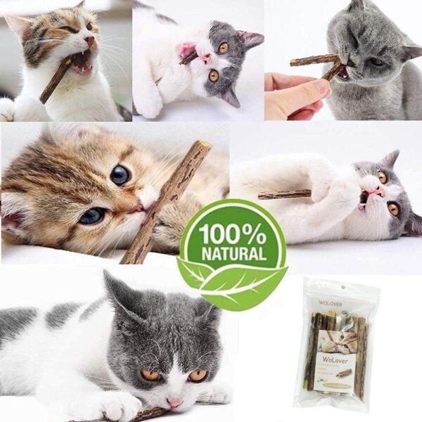 Silvervine Sticks for Cats, Natural Catnip Sticks Matatabi Chew Sticks Teeth Molar Chew Toys for Cat Kitten Kitty (at Least 12 PCS) - Image 3