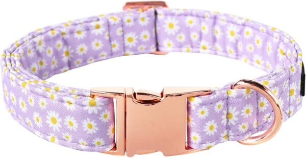 Lionet Paws Dog Collar, Comfortable Adjustable Cute Collar with Metal Buckle for Male Female Dogs Gift, Purple Daisy, Small, Neck 10-16 inches