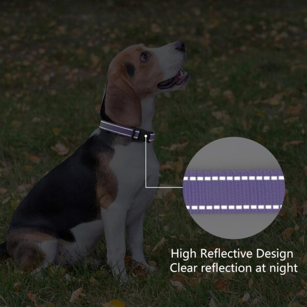 Reflective Dog Collar Padded with Soft Neoprene Breathable Quick Release Basic Dog Collars for Medium Dogs Purple Girl - Image 5