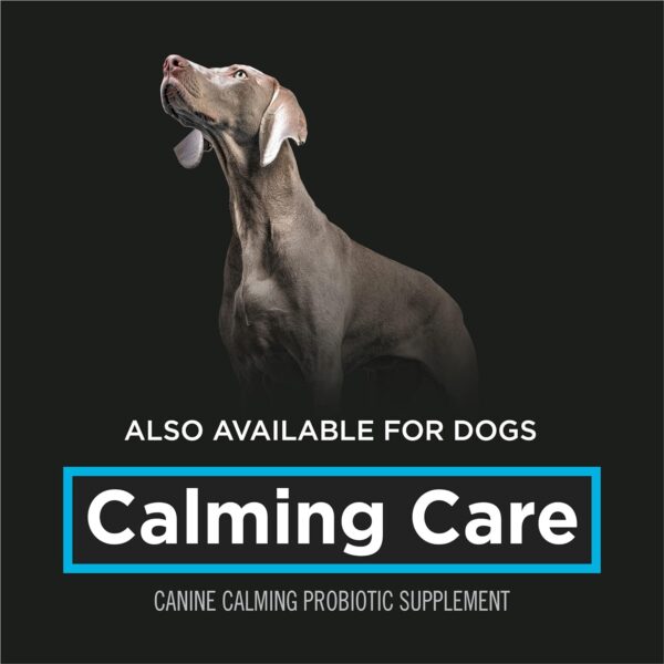 Purina Pro Plan Veterinary Supplements Calming Care Cat Supplements - 30 ct. Box - Image 8