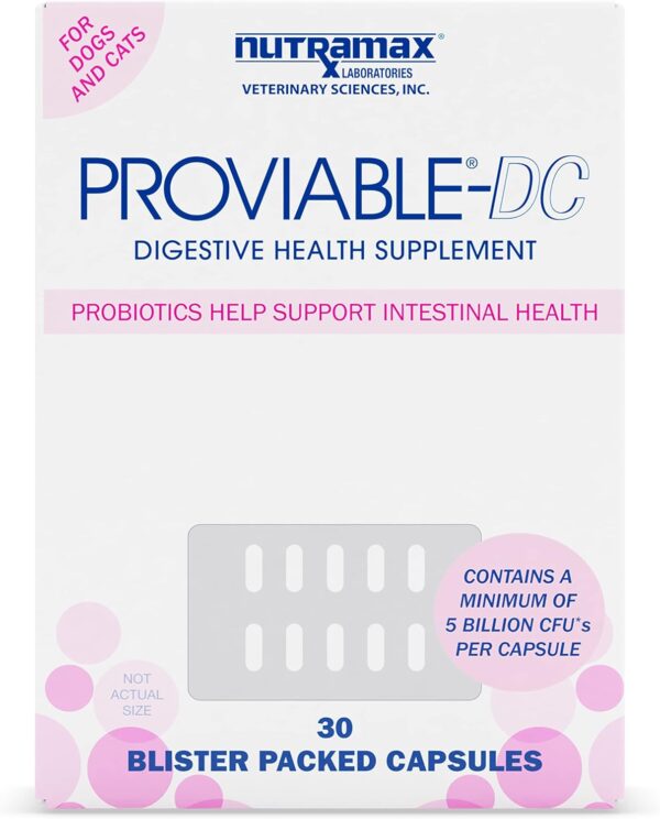 Proviable Digestive Health Supplement Multi-Strain Probiotics and Prebiotics for Cats and Dogs - With 7 Strains of Bacteria, 30 Capsules