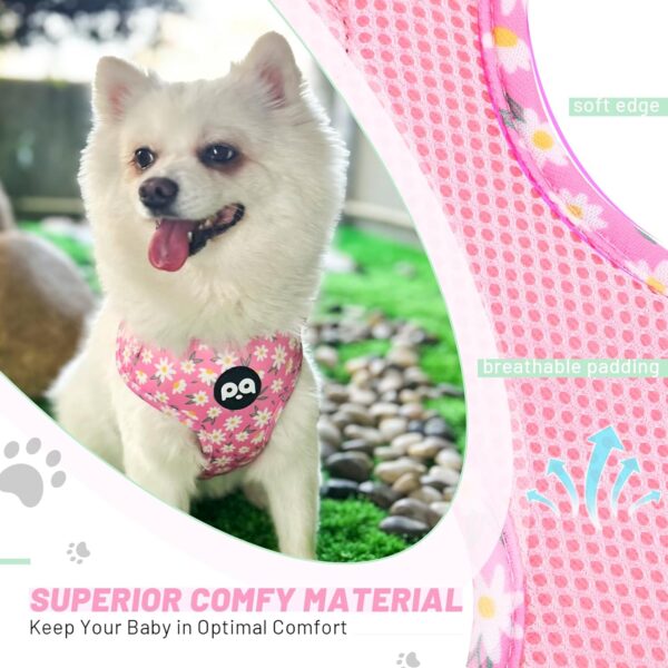 QQPETS Dog Harness Collar Leash with Poop Bag Holder 4 PCS Set, Adjustable No Pull Soft Mesh Padded Vest for Small Medium Large Pet Puppy Outdoor Walking (Daisy Pink, S (Chest 16.1”-22”)) - Image 3