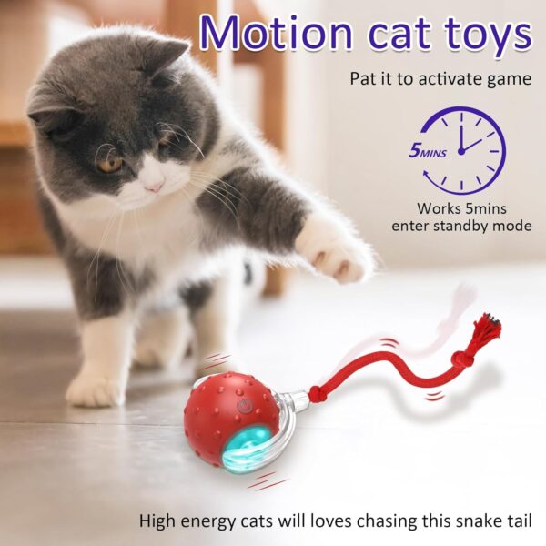 Interactive Cat Toys Ball for Indoor Cats Fast Rolling on Carpet, Chirping & Motion Activate Cat Toys (Red) - Image 3