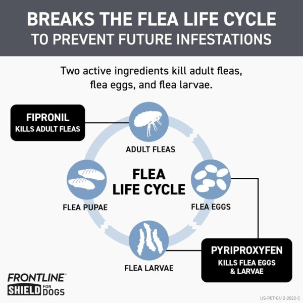 FRONTLINE Shield Flea & Tick Treatment for Small Dogs 11-20 lbs., Count of 3 - Image 4