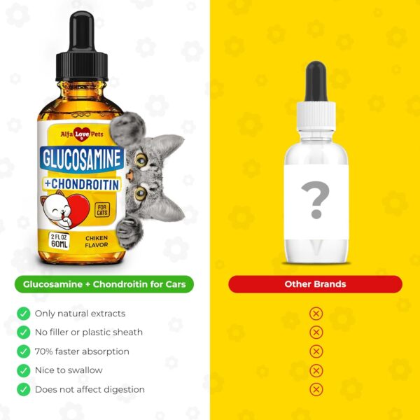 Glucosamine for Cats ✿ Cat Joint Supplement ✿ Cat Glucosamine ✿ Joint Supplement for Cats ✿ Glucosamine for Cats Liquid ✿ Glucosamine Chondroitin for Cats ✿ Chicken Flavor ✿ 2 Oz - Image 8