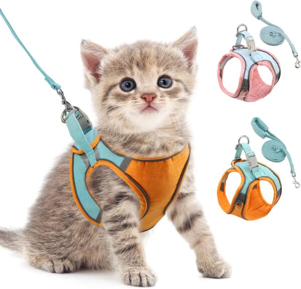 ORIA Dog Harness, No-Pull Pet Harness, Dog Harness and Leash Set, Breathable and Adjustable Pet Vest with Reflective Strips, for Small Kitten, Puppy, Orange and Blue, XXS