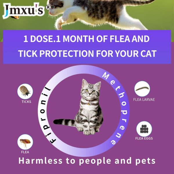 Flea and Tick Prevention for Cats, Cat Flea & Tick Control with Fipronil, Long-Lasting & Fast-Acting Topical Flea & Tick Treatment Drops for Kitten, 3 Doses - Image 3