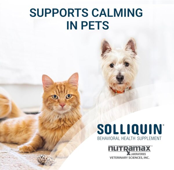 Nutramax Solliquin Calming Behavioral Health Supplement for Small to Medium Dogs and Cats - with L-Theanine, Magnolia/Phellodendron, and Whey Protein Concentrate, 75 Soft Chews - Image 3