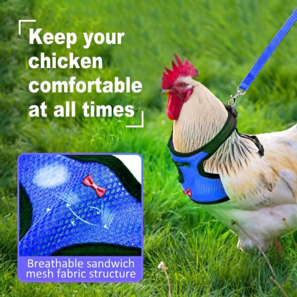 Chicken Harness (Medium, Blue) with Leash, Breathable, Adjustable, Comfortable for Chickens, Ducks, Geese, and Small Pets - Image 7