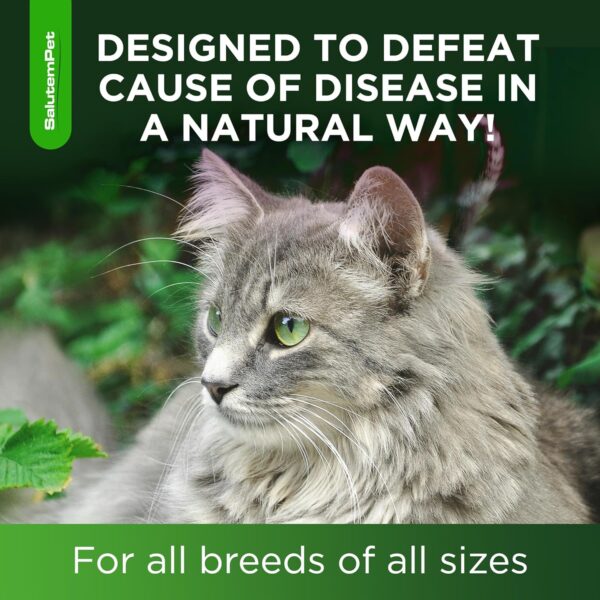 Natural Antibiotics for Cats | Cat Antibiotics | Supports Cat Allergy Relief | Cat Itch Relief | Cat Allergy Support | Cat Multivitamin | Pet Antibiotics | Cat Antibiotics | 2 Oz - Image 6