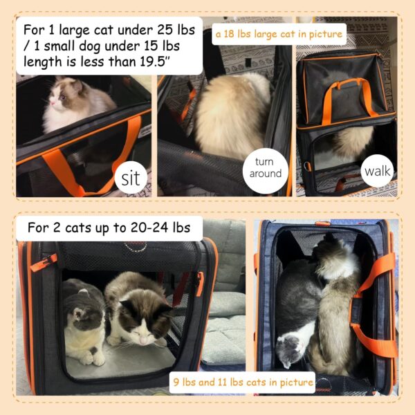 20 x 14 x 14 inches expandable pet carrier for 1 large cat Under 25 lbs,2 medium cats/rabbits 20 lbs+, 1 small dog under 15 lbs,cat Crate/Bag for short trip/long distance car Travel - Image 2