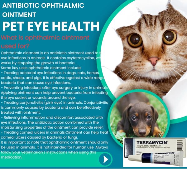 Otto Tech Pet Eye Health Ointment for Dogs, Cats, Cattle, Sheep, Horse, Bird 1/8 oz /3.5gr - 1 tube - Image 4