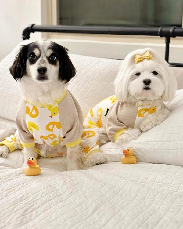 Fitwarm Duck Dog Pajamas, Cute Dog Clothes for Small Dogs Boy Girl, Pet Onesie Clothing, 100% Breathable Cotton, Yellow, XS - Image 4