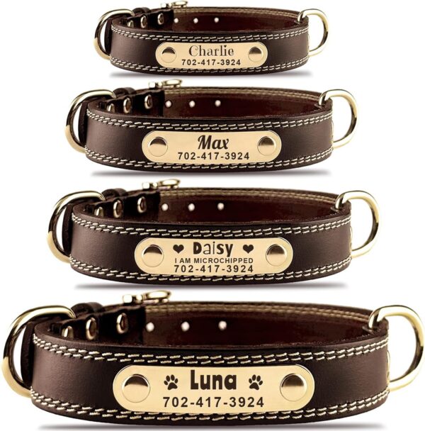 Personalized Custom Leather Dog Collar with Engravable Nameplate - Durable Name Tag Collar - Customizable Dog Collar - Comfortable ID Collars for Small, Medium, Large Dogs (X-Small)