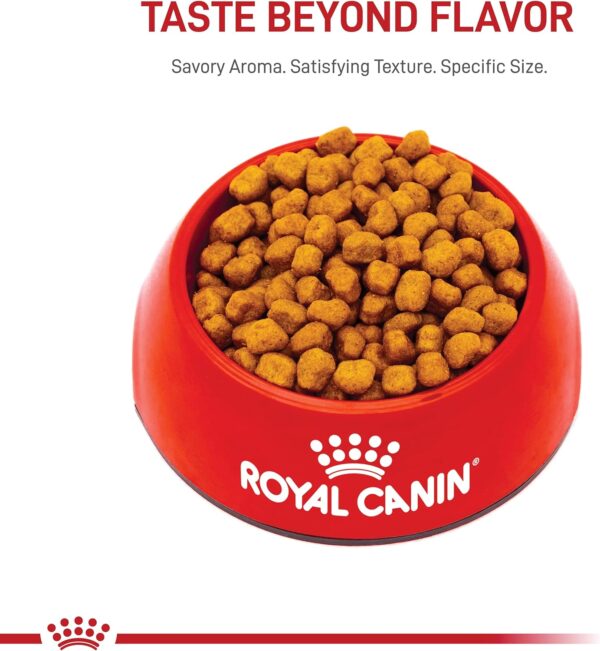 Royal Canin Shih Tzu Adult Breed Specific Dry Dog Food, 10 lb bag - Image 8